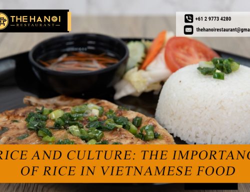 Rice and Culture: The Importance of Rice in Vietnamese Food